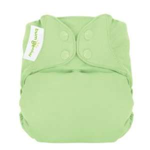   Elemental Organic Cloth Diaper All in One Grasshopper Light Green