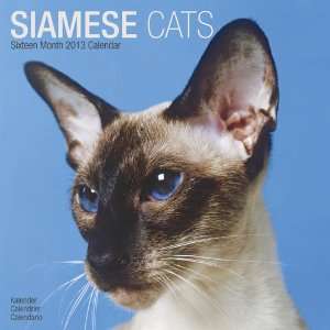  Siamese Cats 2013 Wall Calendar 12 X 12