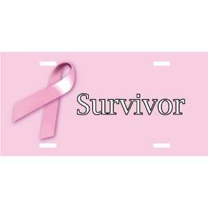    Custom Breast Cancer Survivor License Plate: Home & Kitchen
