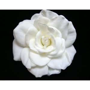    NEW White Real Touch Gardenia Hair Flower Clip, Limited.: Beauty