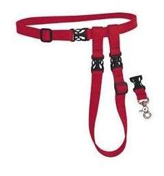 New Buddy System HANDS FREE DOG LEASH Lead Running Jogging Hiking 