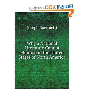   Literature Cannot Flourish in the United States of North America