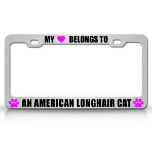  MY HEART BELONGS TO AN AMERICAN LONGHAIR Cat Pet Steel 