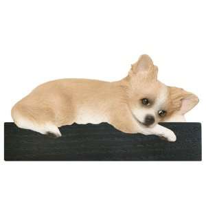  Fawn Long Hair Chihuahua Dog Shelf and Wall Plaque: Home 