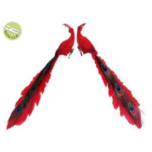  Set of 2 Regal Peacock Red Closed Tail Bird Clip On 