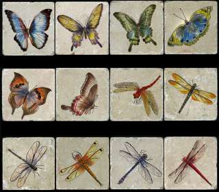 12 Butterflies and Dragonflies Accent Tiles for Kitchen  