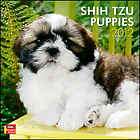 shih tzu puppies 2012 wall calendar $ 3 49  see 