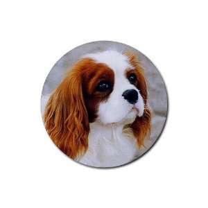  Cavalier King Charles Spaniel Rubber Round Coaster (4 pack 