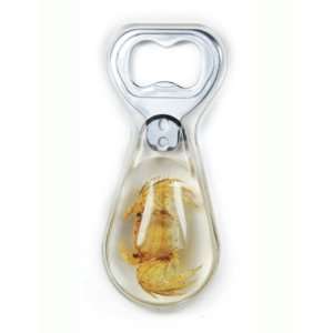  Real Sand Crab Bottle Opener Big Clear 