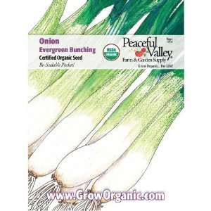    Organic Onion Seed Pack, Evergreen Bunching: Patio, Lawn & Garden