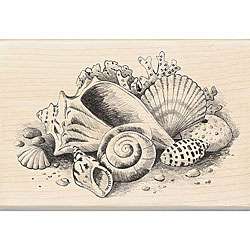   Wood mounted Seashells Still Life Rubber Stamp  Overstock