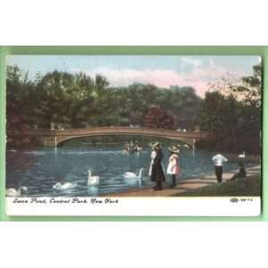    Postcard Swan Pond Central Park New York City 1908 