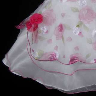 New Toddler Wedding Flower Girl Dress SZ 3/3T @  