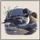 Pintails By Daniel Smith Ducks Fowl Wildlife Hunter T Shirt S,M,L,XL 