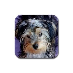  Yorkshire Terrier Puppy Dog 3 Rubber Coaster (4 pack 