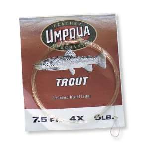  L.L.Bean Umpqua Trout Taper Leader 9 (3) Sports 