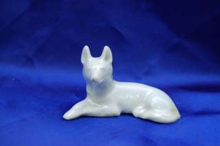 Old Porcelain White GErman Shepherd Malinois herd dog  