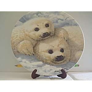    Baby Seals by Mike Jackson Collector Plate 