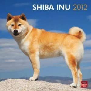  Shiba Inu 2012 Wall Calendar 12 X 12