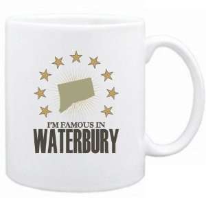   In Waterbury  Connecticut Mug Usa City 