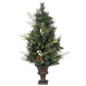    30 Afton Mix Pine/Berry Potted Christmas Tree: Home & Kitchen