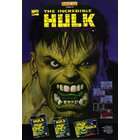 Pop Culture Graphics The Incredible Hulk Poster Movie 11 x 17 In 