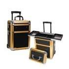 Case PROFESSIONAL BEAUTY CASE WITH WHEELS / GOLD FRAME   Black 