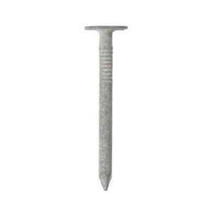   Ace Hot Galvanized Roofing Nails (5415179)