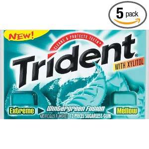 Trident Gum, Wintergreen (3 Pack), 18 Piece Packs (Pack of 5)