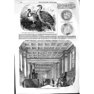   1854 Mallee Birds Zoo Egyptian Gallery British Museum