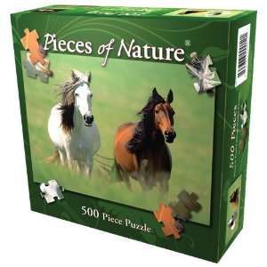  Wild & Free Jigsaw Puzzle 500pc Toys & Games