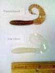  curl tail grubs these are deadly on walleye bass muskie pike among