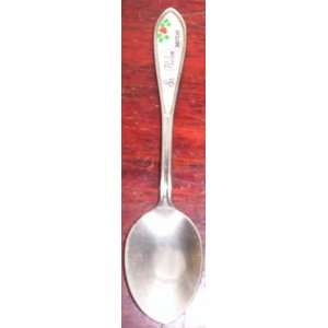   , Michigan Souvenir Spoon Chrome & Mother of Pearl 