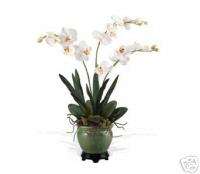 Orchids Forever   Silk Orchids   Potted   With Stand  