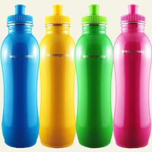   Stainless Steel Water Bottle with Tap Filter, Colors