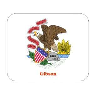  US State Flag   Gibson, Illinois (IL) Mouse Pad 