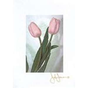  Pink Tulip by John Jones 5x7