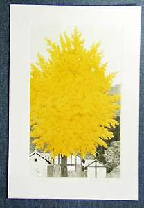 TANAKA RYOHEI Japanese Print GREAT GINKO TREE NO.3  
