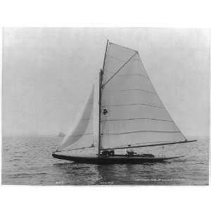  The sailboat Vesper,c1896,sailing ship,water,J Johnston 