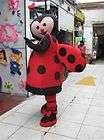 Adult Valentine insect lady bug animal Mascot Costume
