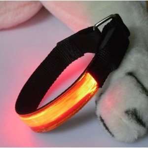   Neck Band for Small Dog or Cat, Shines Orange When Lit: Pet Supplies