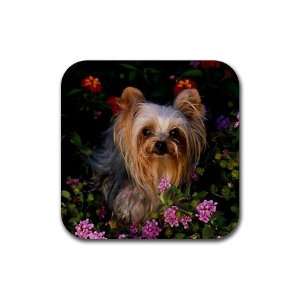  Yorkie puppy Rubber Square Coaster set (4 pack) Great Gift 