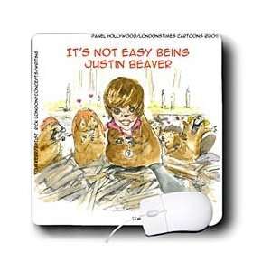   Times Gen. 2 Animals Music   Justin Beaver   Mouse Pads: Electronics