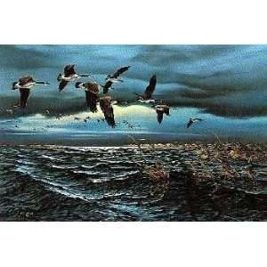  Terry Redlin   The Squall Line: Home & Kitchen