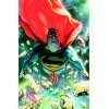 Superman: Brainiac HC (Superman Limited Gns (DC Comics R)): .de 