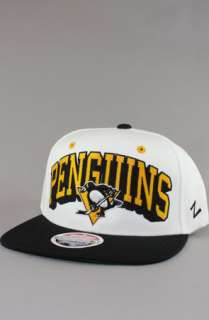 123SNAPBACKS Pittsburgh Penguins Snapback HatZ Arch LogoWhiteBlack 