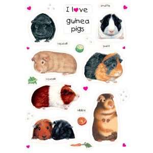 Love Guinea Pigs (Meerschweinchen)   Fun Fridge Magnets   lustige 