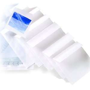    Translucent Vellum A8 Envelopes Color Clear