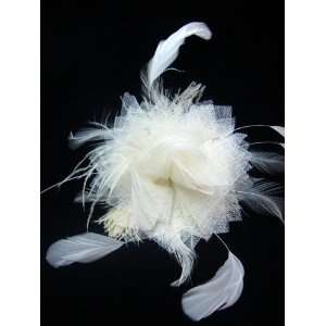    NEW Ivory Feather Hair Clip and Pin Brooch, Limited. Beauty