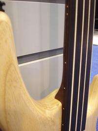 NEW Cort Artisan B4 4 String Fretless Bass w Bartolini  